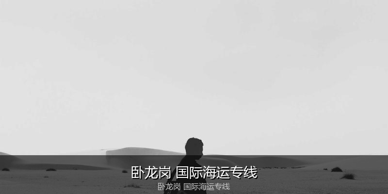中国到澳洲海运专线服务优势与价格指南