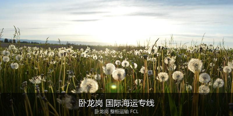 澳大利亚海运清关流程与合规注意事项